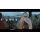 BLIZZARD The Banner Saga 2 - 331972 - zdjęcie 3